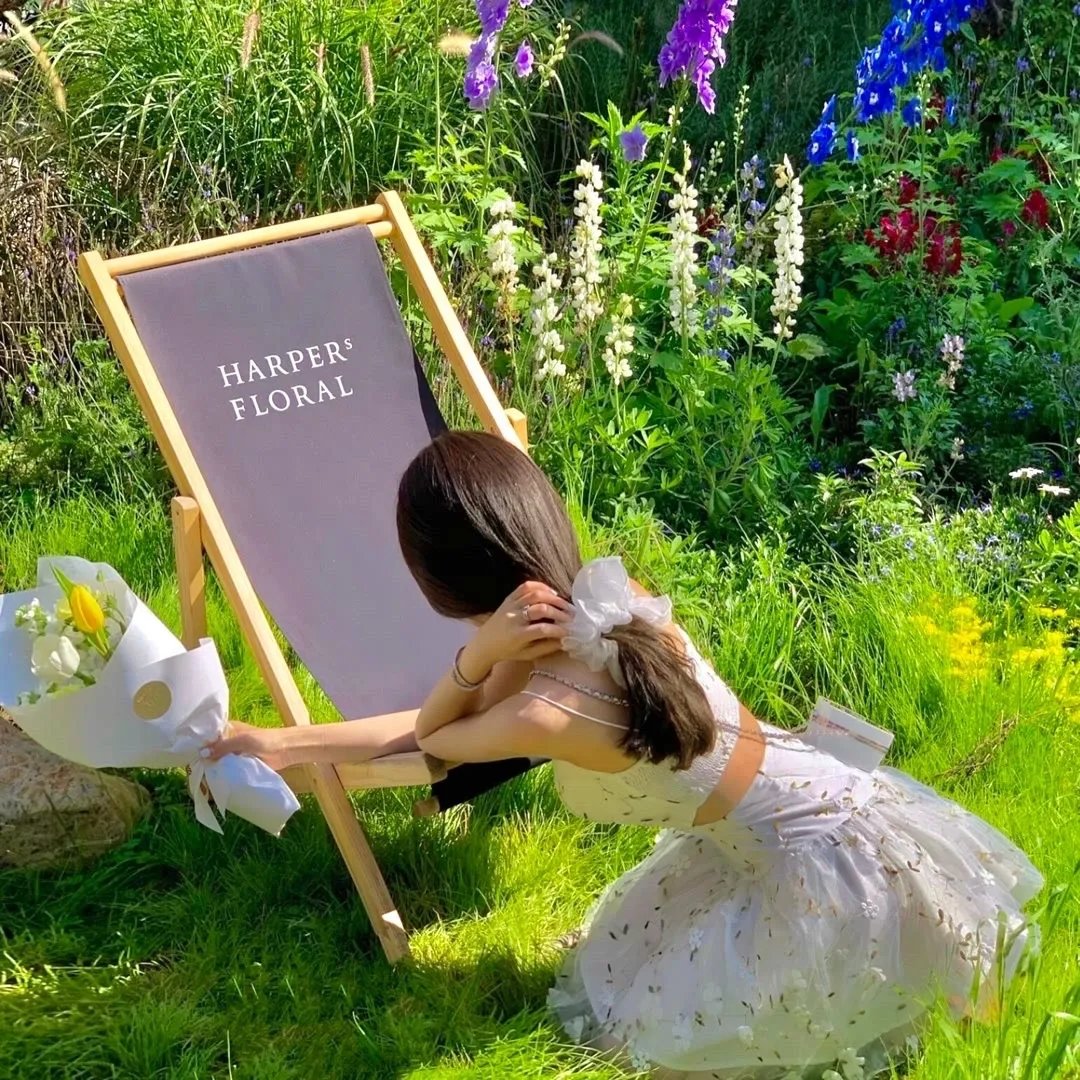 指环王1：护戒使者国语